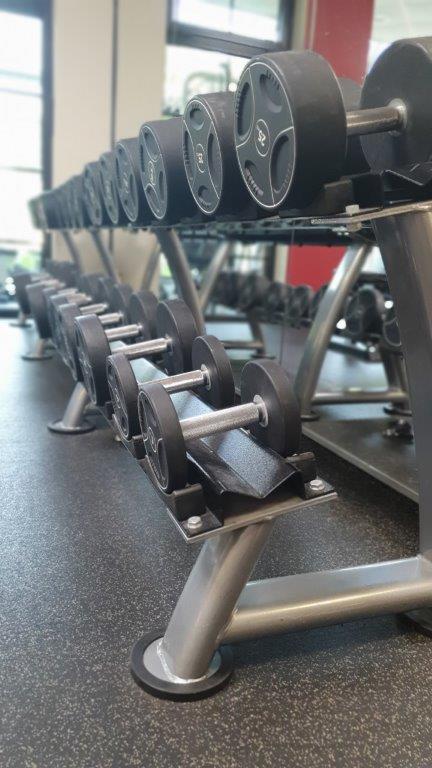 Kurzhanteln auf einer Ablage im Fitnessstudio, mit schwarzem Metallrahmen und spiegelndem Gewicht.
